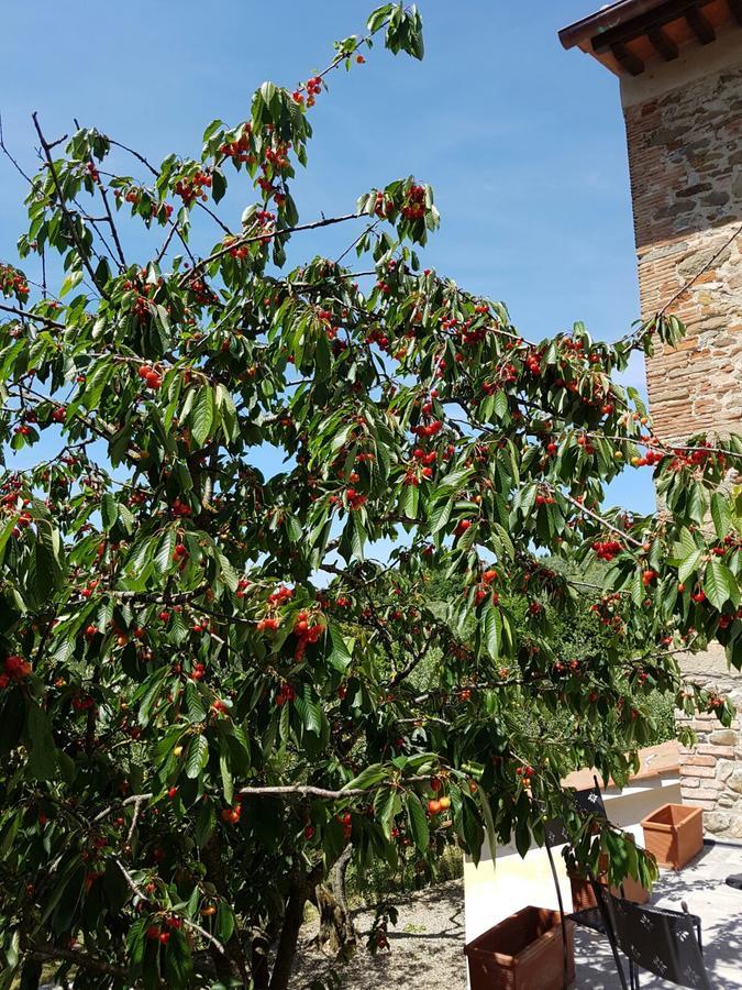Agriturismo Il Pintello San Casciano in Val di Pesa Exteriér fotografie
