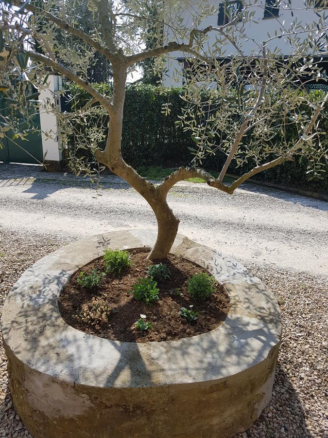 Agriturismo Il Pintello San Casciano in Val di Pesa Exteriér fotografie