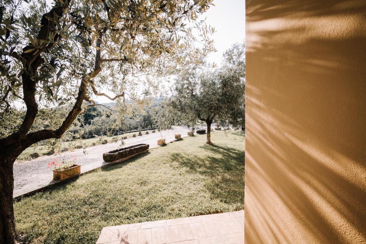 Agriturismo Il Pintello San Casciano in Val di Pesa Exteriér fotografie